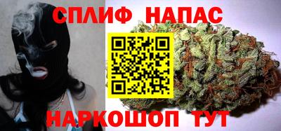 молекула духа Гатчина
