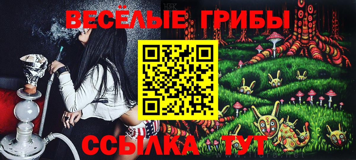 Сегежа  Псилоцибиновые грибы Psilocybe  наркота  Вход с VPN 